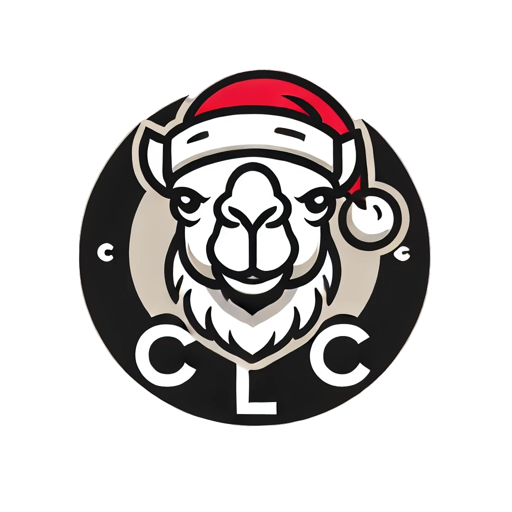 Christmas light Installation Experts